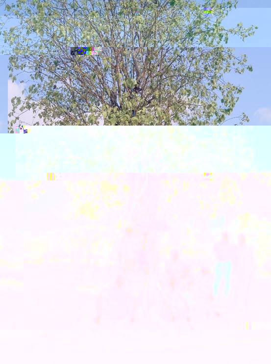 04dbbf88e4bf2bc71b255c8667934d1 04dbbf88e4bf2bc71b255c8667934d1